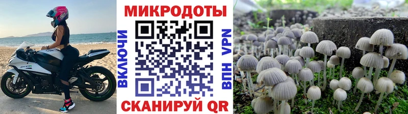 купить наркотики цена Грязи Псилоцибиновые грибы ЛСД